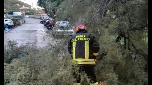 Maltempo,1000 interventi Vvf da svolgere Maltempo,1000 interventi Vvf da svolgere
