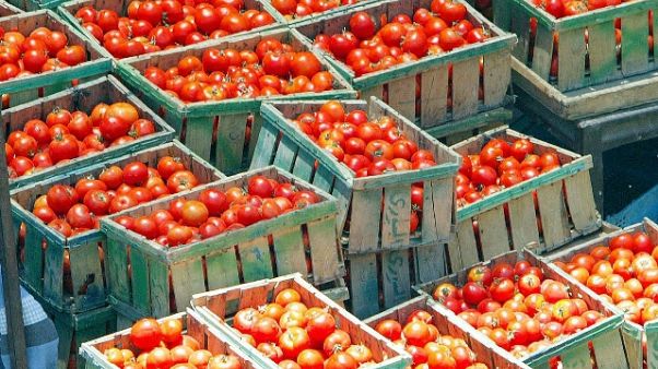 Allungava scadenza a passata pomodoro Allungava scadenza a passata pomodoro