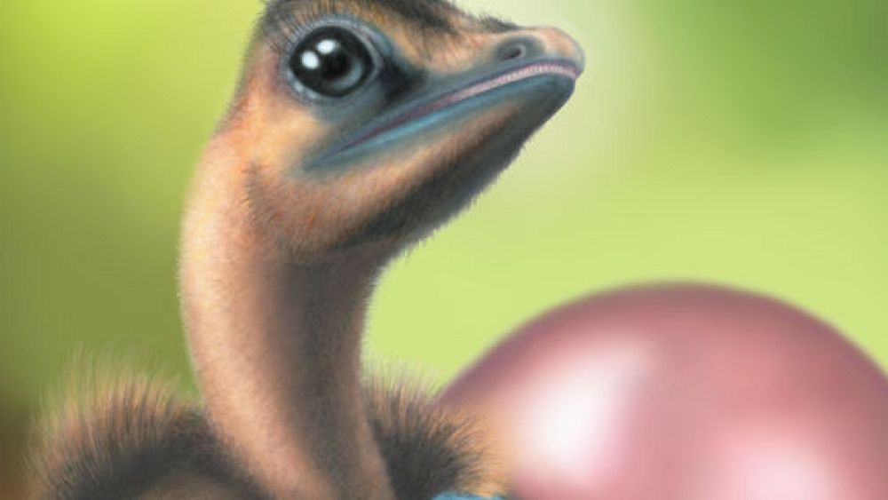 An illustration of a hatching Deinonychus chick from a blue egg with brown ...