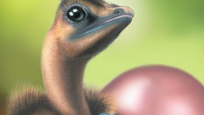 دراسة: بعض الديناصورات وضعت بيضا ملونا ومرقطا
