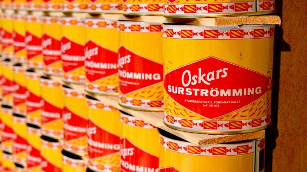 Rotten shark made you queasy? A vomit bag for every guest at the Disgusting Food Museum Rotten shark made you queasy? A vomit bag for every guest at the Disgusting Food Museum