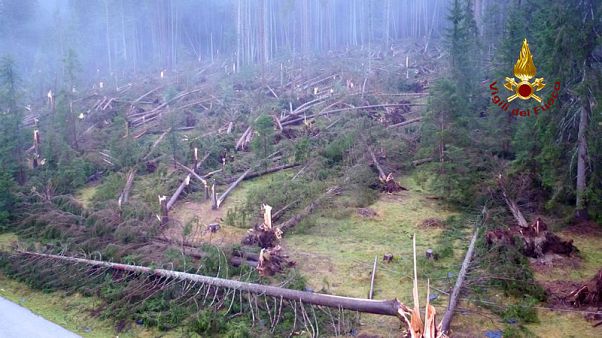 Italian storms claim 17th life, and 14 million trees Italian storms claim 17th life, and 14 million trees