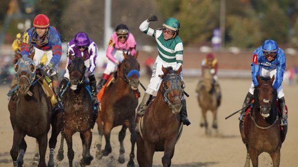 Horse racing - Accelerate wins Breeders' Cup Classic Horse racing - Accelerate wins Breeders' Cup Classic