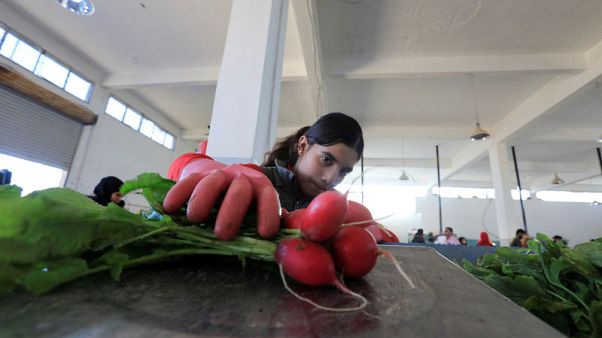 Customs duties, competition hit Lebanese hopes for quick boost from open Syria border Customs duties, competition hit Lebanese hopes for quick boost from open Syria border