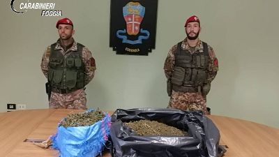 Madre e figlio nascondono 8,5kg cannabis Madre e figlio nascondono 8,5kg cannabis