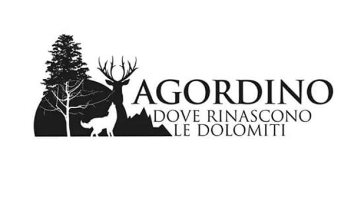 Maltempo: incontro e logo per Agordino