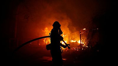 ترامب في تغريدة: "سوء الإدارة الفادح للغابات" سبب حرائق كاليفورنيا