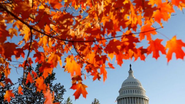 Florida to hold machine recount of Senate, governor race votes Florida to hold machine recount of Senate, governor race votes