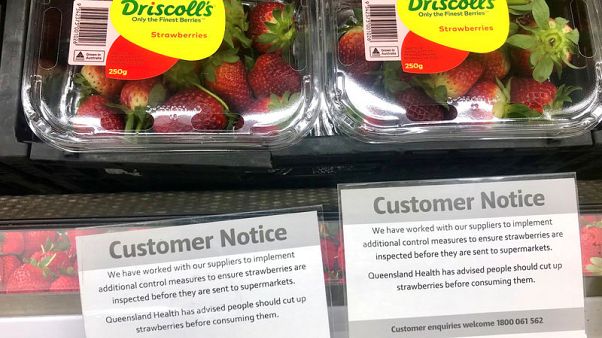 Australia charges woman with using needles to contaminate strawberries Australia charges woman with using needles to contaminate strawberries