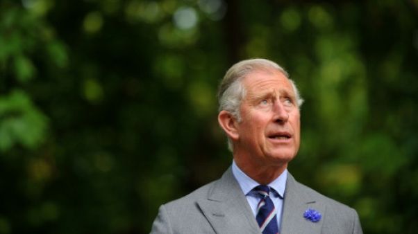 Le prince Charles, le 27 juillet 2011 à Londres Le prince Charles, le 27 juillet 2011 à Londres