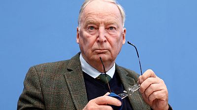 German parliament queries AfD handling of donation German parliament queries AfD handling of donation