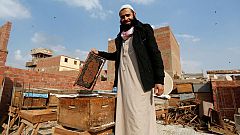 شاهد: عمر أبو الحسن مصري يربي النحل لسمّه لا لعسله