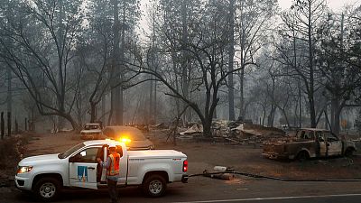 56 قتيلا و130 مفقودا في أسوأ حريق غابات بكاليفورنيا