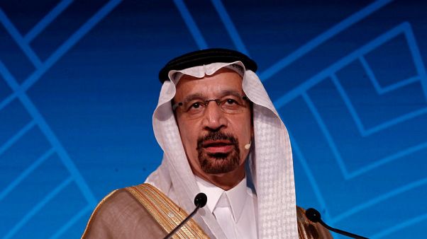 وزير الطاقة السعودي يلتقي برئيس وفد ليبيا في أوبك وزير الطاقة السعودي يلتقي برئيس وفد ليبيا في أوبك