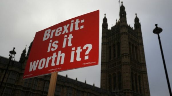 Brexit: les défenseurs d'un second référendum se sentent pousser des ailes Brexit: les défenseurs d'un second référendum se sentent pousser des ailes