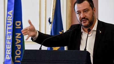 Salvini, Austria-Olanda? Pensino a loro