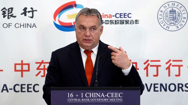 U.N. expert group leaves Hungary in row over migrant camp access U.N. expert group leaves Hungary in row over migrant camp access