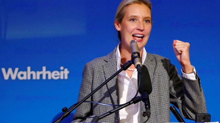 German far-right leader attacks media over donations scandal