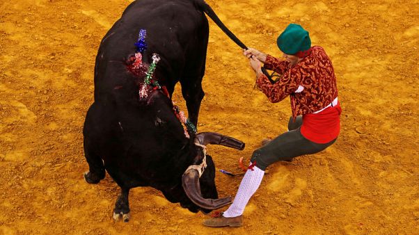 Bullfight tax row splits Portugal's ruling Socialists Bullfight tax row splits Portugal's ruling Socialists