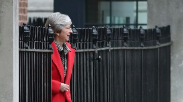 Theresa May balaie les contre-propositions de ses rivaux sur le Brexit Theresa May balaie les contre-propositions de ses rivaux sur le Brexit
