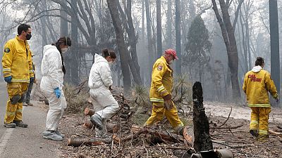 فرق الإنقاذ تبحث عن ألف مفقود في أسوأ حريق غابات في كاليفورنيا