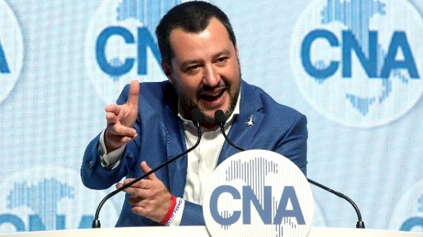 Riforma Coni: Salvini 'Malagò nervoso' Riforma Coni: Salvini 'Malagò nervoso'