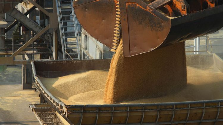 In dumping probe, China spooks Australia grain trade already sweating out drought hit
