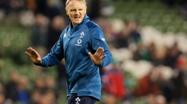 XV d'Irlande: Schmidt décidera de son avenir en famille XV d'Irlande: Schmidt décidera de son avenir en famille