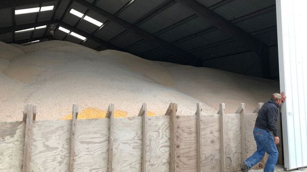 Harvesting in a trade war - U.S. crops rot as storage costs soar Harvesting in a trade war - U.S. crops rot as storage costs soar