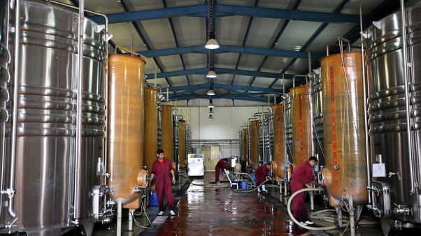 Egyptian winery battles climate, culture to produce award-winning bottles Egyptian winery battles climate, culture to produce award-winning bottles