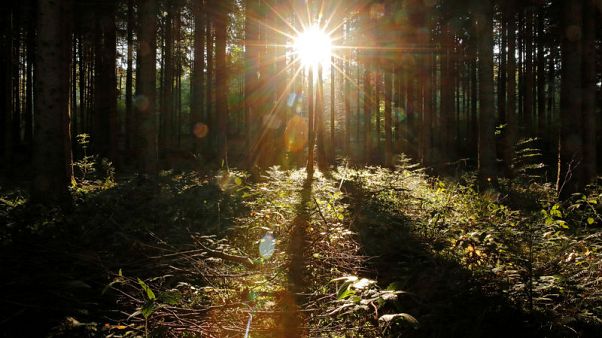 Scientists weigh up stratospheric sunlight barrier to curb warming Scientists weigh up stratospheric sunlight barrier to curb warming