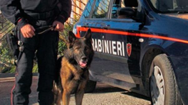 Ottantenne brucia auto della vicina Ottantenne brucia auto della vicina