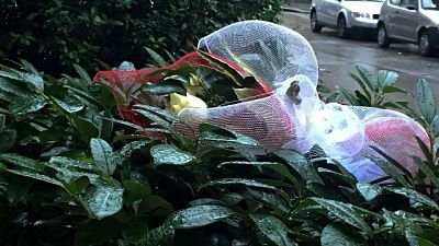 Uccisa in ostello: Nardella depone fiori