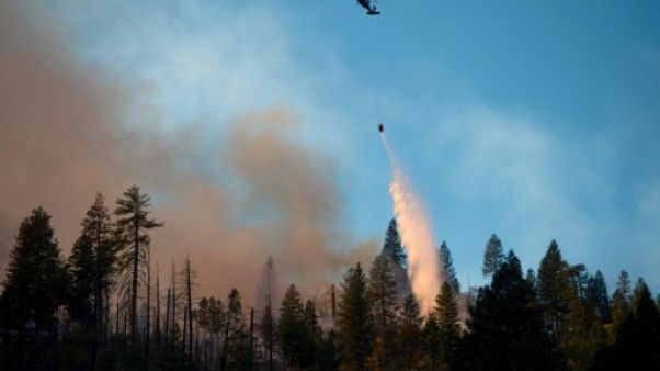 Après plus de deux semaines, l'incendie le plus meurtrier de Californie entièrement maîtrisé Après plus de deux semaines, l'incendie le plus meurtrier de Californie entièrement maîtrisé