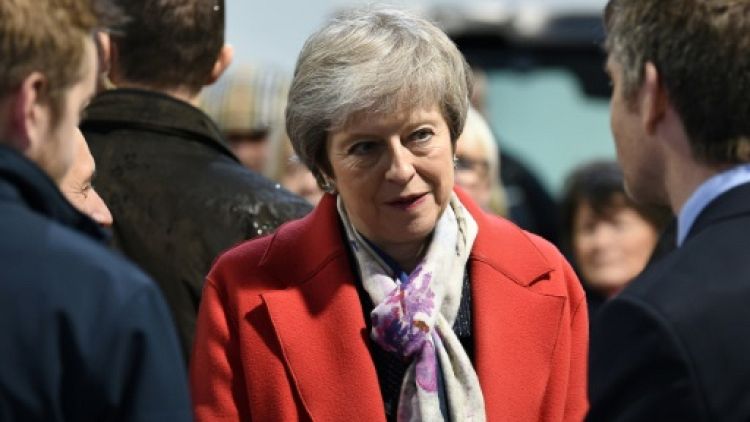Brexit : Trump savonne la planche de Theresa May, qui riposte