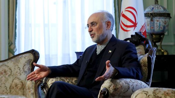 Iran's nuclear chief warns EU patience is running thin Iran's nuclear chief warns EU patience is running thin