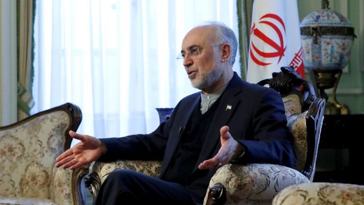 Iran's nuclear chief warns EU patience is running thin