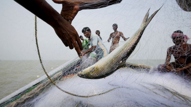 Villagers fear for survival on India's disappearing island