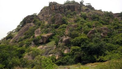 La réserve forestière Amurum, le 5 juin 2014 au Nigeria La réserve forestière Amurum, le 5 juin 2014 au Nigeria