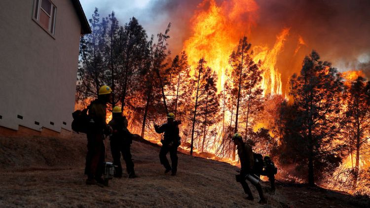 عدد القتلى والمفقودين في أسوأ حريق غابات بكاليفورنيا أقل من المعلن مسبقا