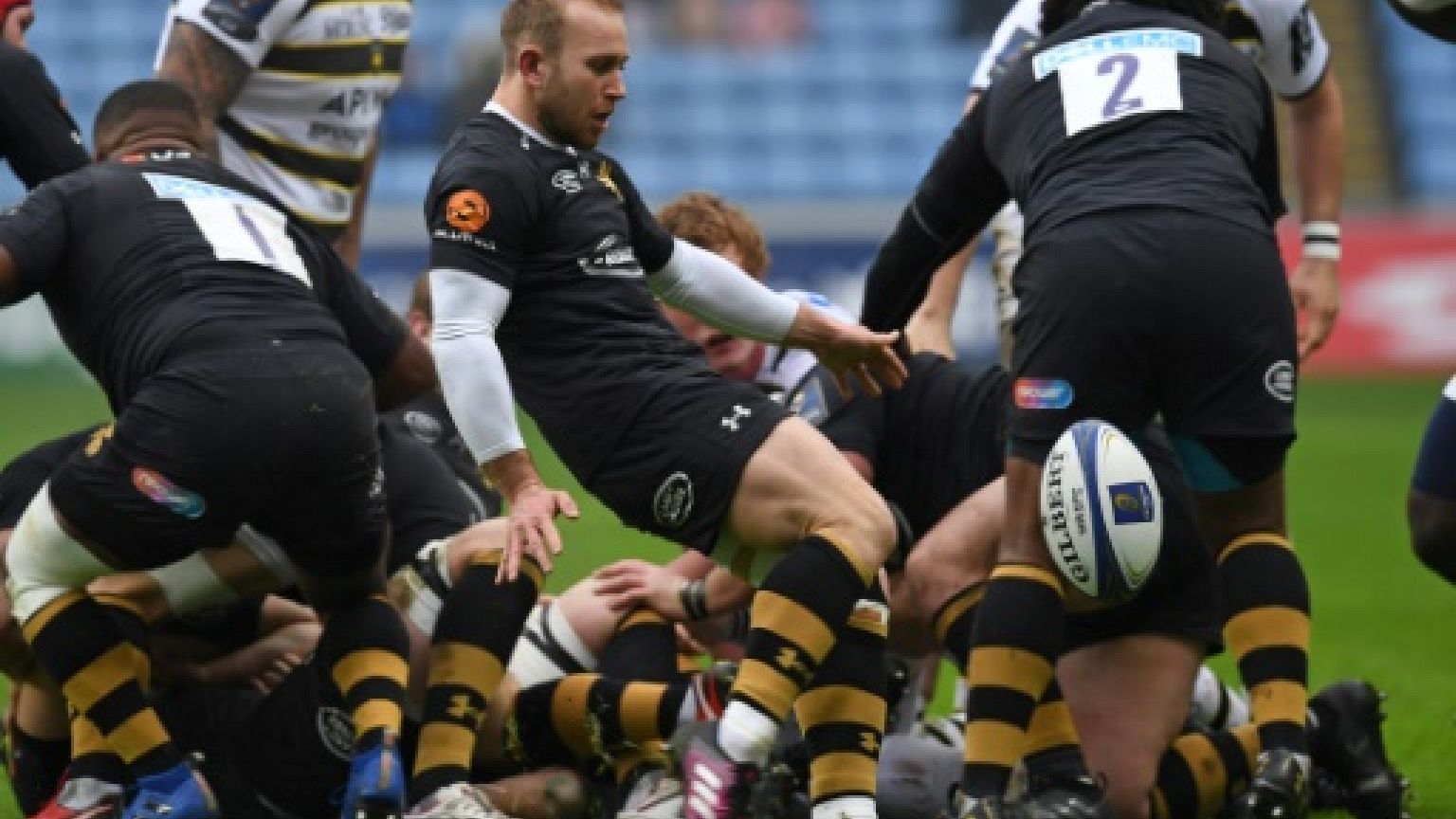 Rugby: la belle vie des Wasps en province
