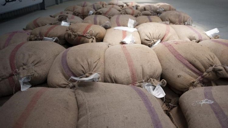 تجار: هيئة السلع المصرية تشتري 350 ألف طن من القمح