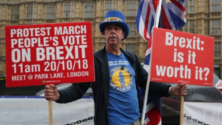 Grande-Bretagne: le combat acharné de "Mr Stop Brexit"
