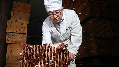 Bug business - Cockroaches corralled by the millions in China to crunch waste Bug business - Cockroaches corralled by the millions in China to crunch waste