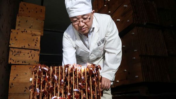 Bug business - Cockroaches corralled by the millions in China to crunch waste Bug business - Cockroaches corralled by the millions in China to crunch waste