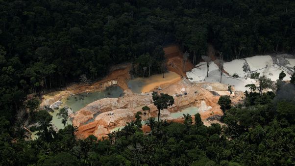Brazil's Amazon rainforest under siege by illegal mines Brazil's Amazon rainforest under siege by illegal mines