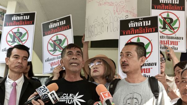 Weeding out foreigners: strains over Thailand's legalisation of marijuana Weeding out foreigners: strains over Thailand's legalisation of marijuana
