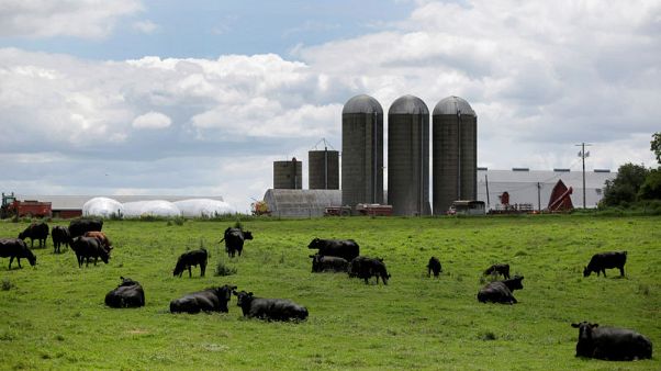 Farm, automaker groups press U.S. officials to push for more EU access Farm, automaker groups press U.S. officials to push for more EU access