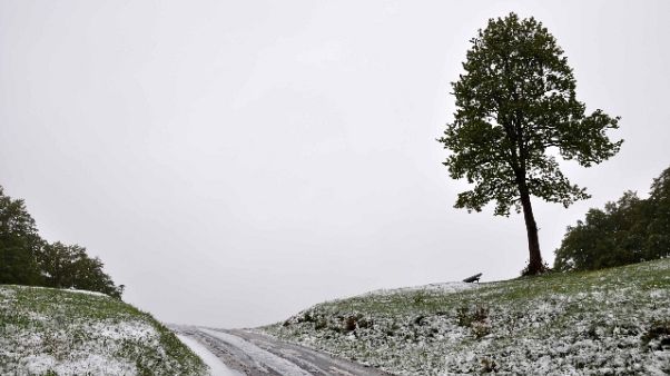 Maltempo: neve in arrivo al centro-nord Maltempo: neve in arrivo al centro-nord