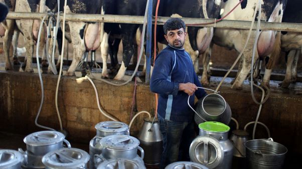U.N. WFP to cut back food aid to Palestinians U.N. WFP to cut back food aid to Palestinians